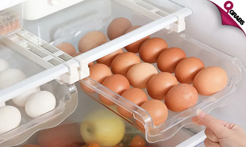 Refrigerator Storage & Organizer!